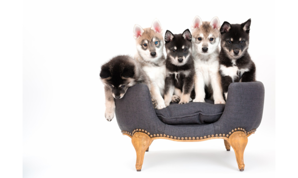 Big image screen shot 2020 09 22 at 11.41.25 am