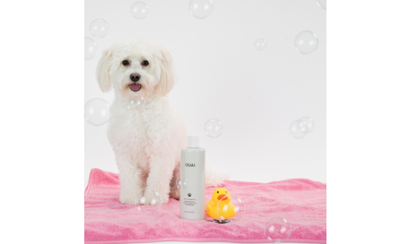 Big image screen shot 2020 09 22 at 11.42.28 am