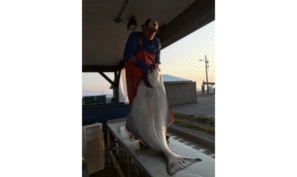 Big image thumbnail img 8519