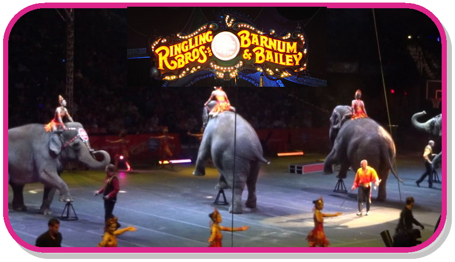 Ringling Brothers Circus Tickets and Frederick Keys Tickets