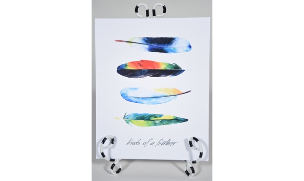 Big image birds of a feather dsc 5767