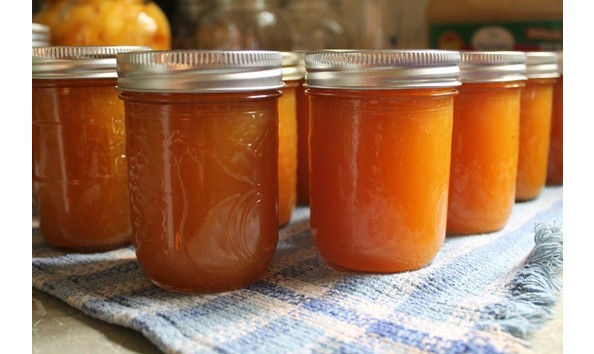 Big image img 5758 e1439505657421