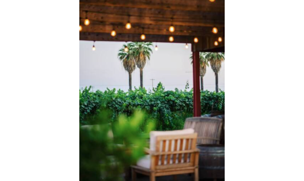 Big image screen shot 2020 09 24 at 1.38.08 pm