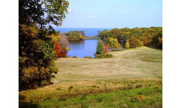 Big image fall caumsett