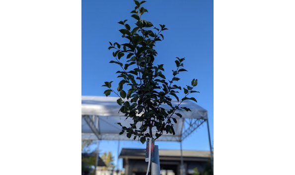 Big image pxl 20200929 224020227.portrait 01.cover