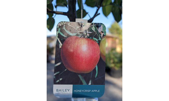 Big image pxl 20200929 224040520.portrait 01.cover