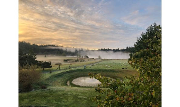 Big image sw farm photo