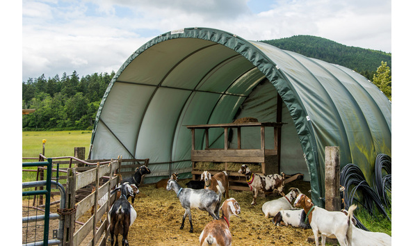 Big image lum farm orcas web 127