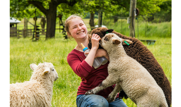 Big image lum farm orcas web 162