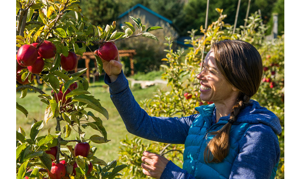 Big image sweet earth farm sji 004