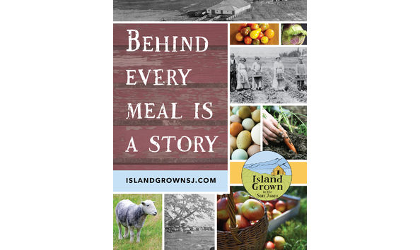 Big image behind every meal is a story fin