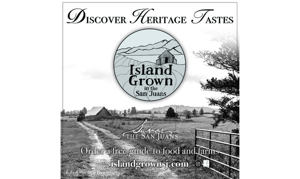 Big image sustainable connections adlores