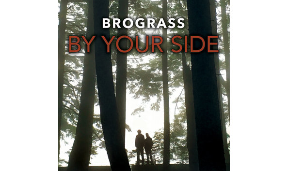 Big image brograss 2