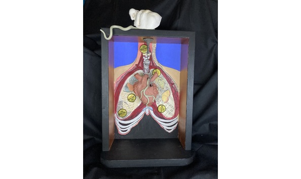 Big image img 7110 1