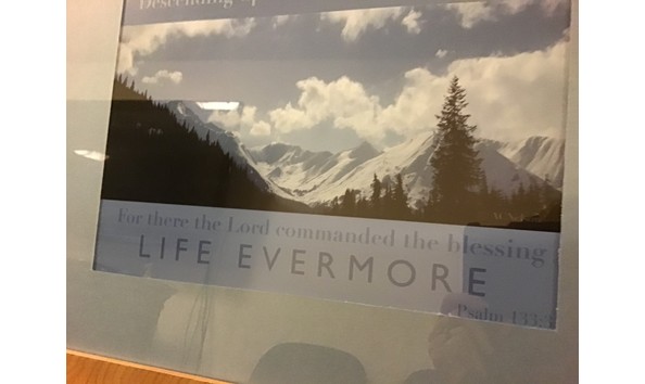 Big image thumbnail img 8983