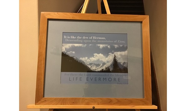 Big image thumbnail img 8980