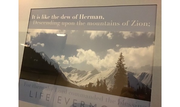 Big image thumbnail img 8984