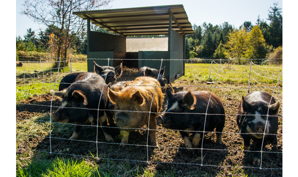 Big image sweet earth farm sji 053