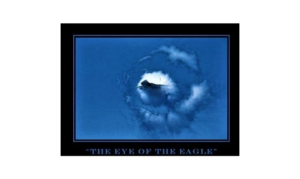 Big image eye of the eagle 521