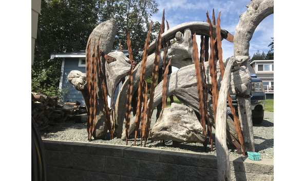 Big image zackarya leck seaweed frondsb