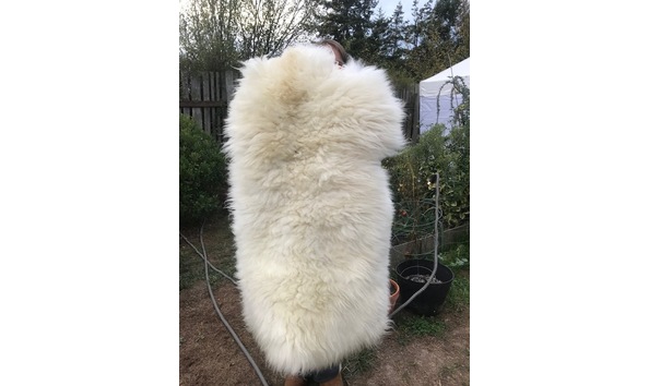 Big image donatedsheepskin