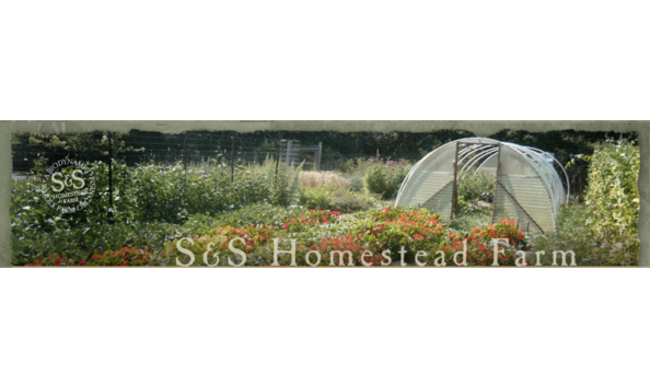 Big image screen shot 2020 10 04 at 9.35.26 pm