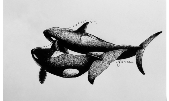 Big image p 20200916 155803 1 01