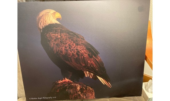 Big image thumbnail img 1647