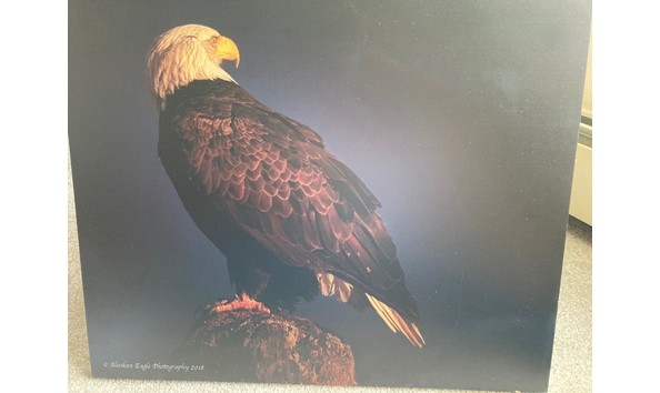 Big image thumbnail img 1650