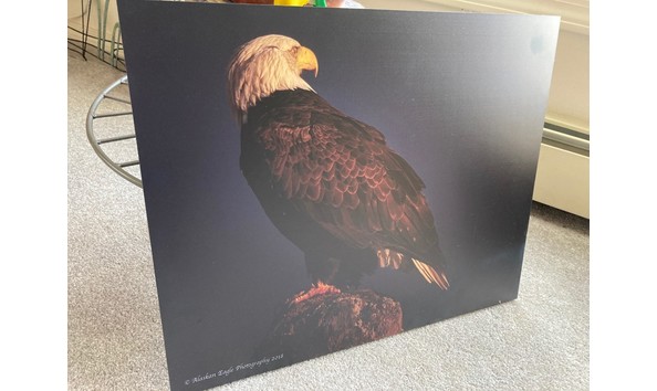 Big image thumbnail img 1651