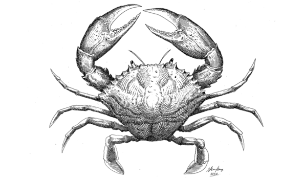 Big image micheal sold  2 