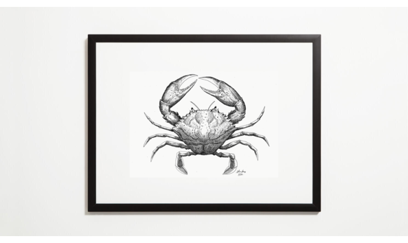 Big image crab