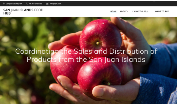 Big image screenshot of web