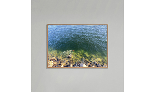 Big image pacific west