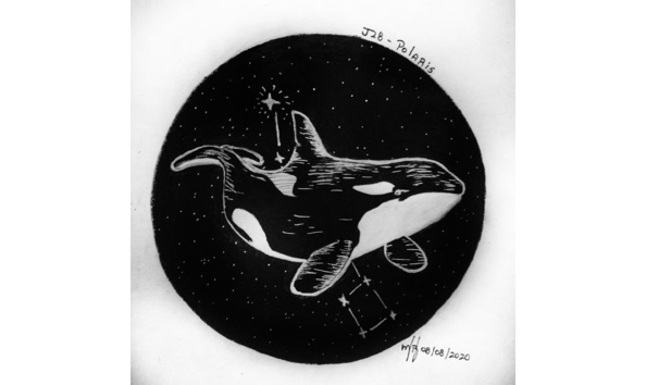 Big image p 20200808 212311 01