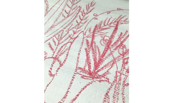 Big image plant daughters detail