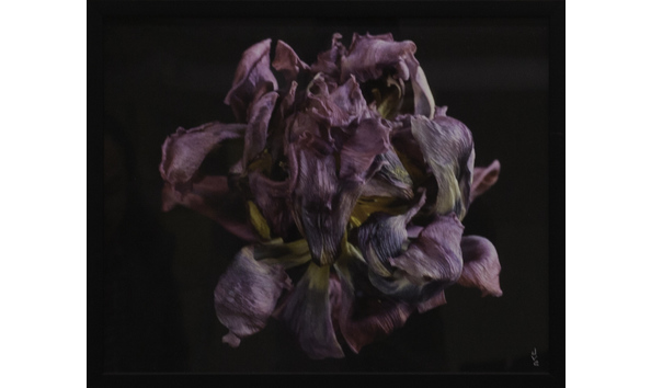 Big image  mg 9405 edit