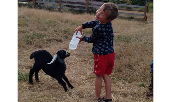 Big image ethan giving bottle to sparky