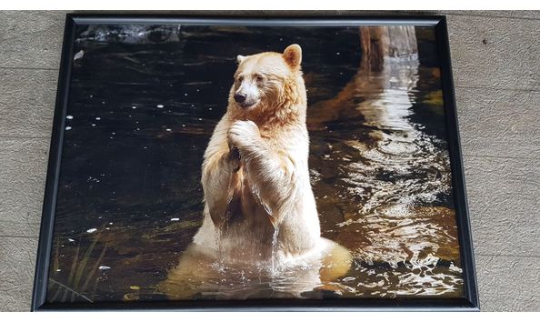 Big image 121228887 355981139052609 8660675630346136204 n