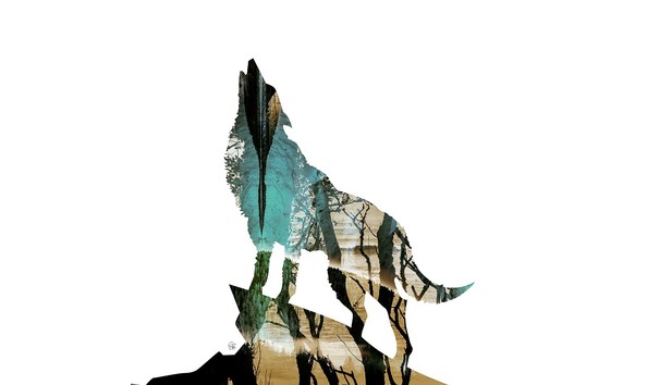 Big image florenciawolf1