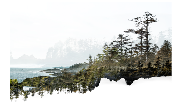 Big image wanderingthewildpacifictrail