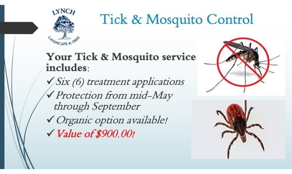 Big image tick   mosquito   lynch towns