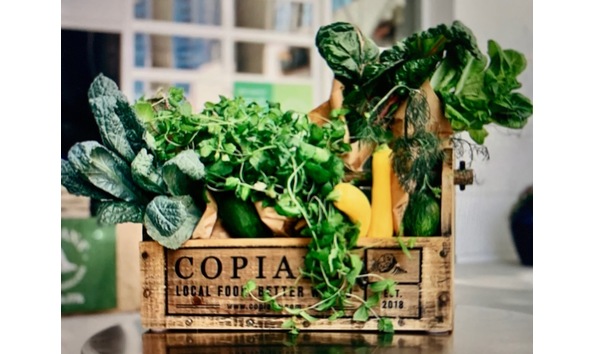 Big image d7684da2 eb0e 4866 94c5 3c5671f72ea9