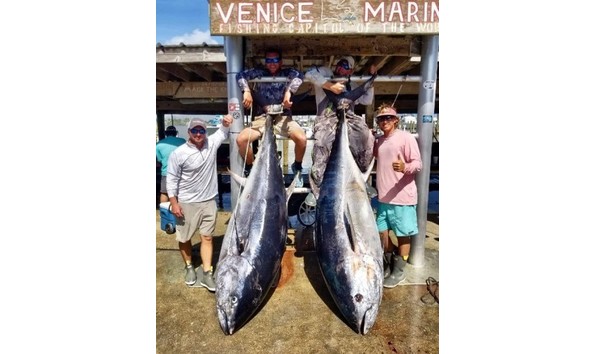 Big image tuna1 e1525444646980