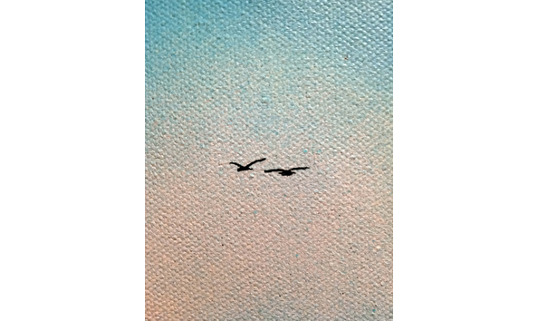 Big image a day in the neighbourhood 2 by bg183 closeup 4