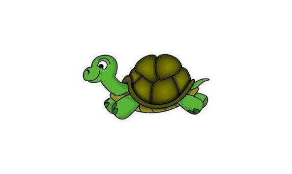Big image turtle