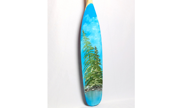 Big image 129 details1