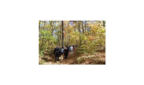 Big image guided nature hike