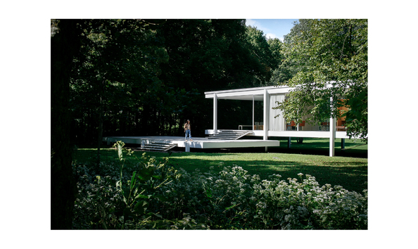 Big image 9 alberto front