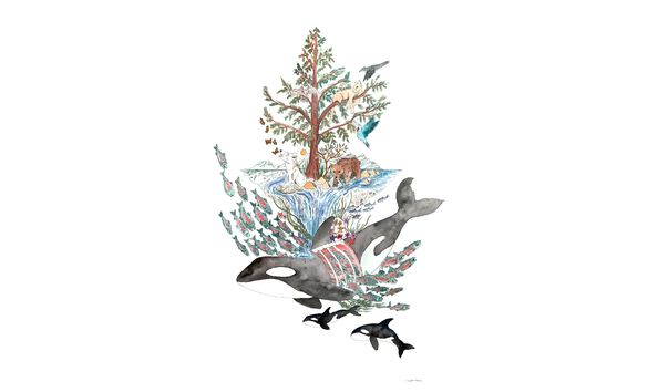 Big image ofconsiderablelossclairegaulinbrown